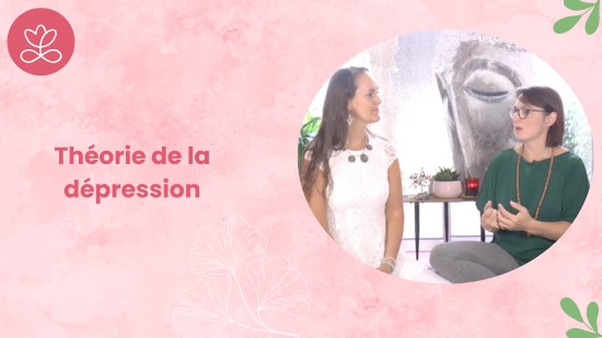Jour 2 - Théorie de la dépression